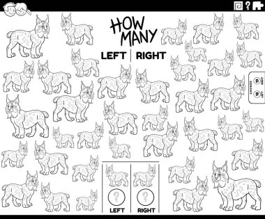 Vaşak vahşi hayvan karakter renklendirme sayfasının sol ve sağ odaklı resimlerinin eğitici oyununun siyah ve beyaz çizimi