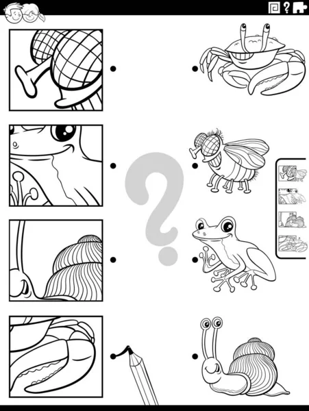 動物の文字や写真と教育マッチングゲームの黒と白の漫画のイラストぬり絵のページ — ストックベクタ