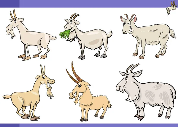 Cartoon Illustration Goats Farm Animals Comic Characters Set — Stock Vector