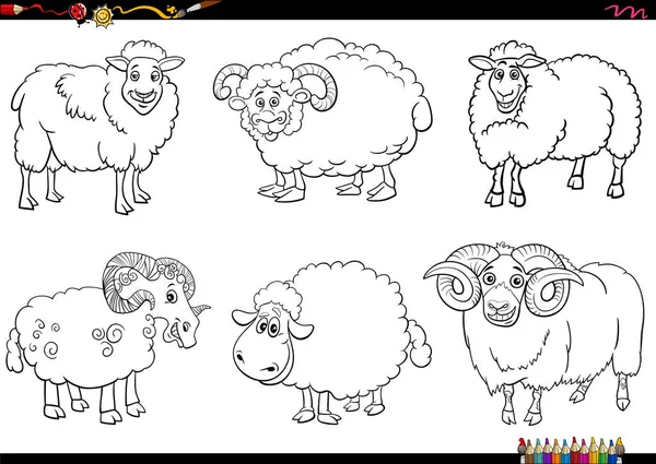 羊の農場の動物漫画のキャラクターの黒と白の漫画のイラストが着色ページを設定 — ストックベクタ