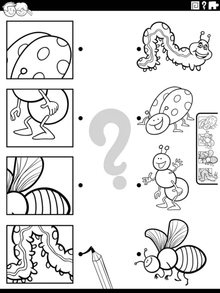 Dibujos Animados Blanco Negro Ilustración Juego Combinación Educativa Con Insectos — Vector de stock