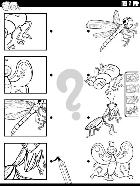 Black White Cartoon Illustration Educational Matching Task Insects Animal Characters — Stock Vector