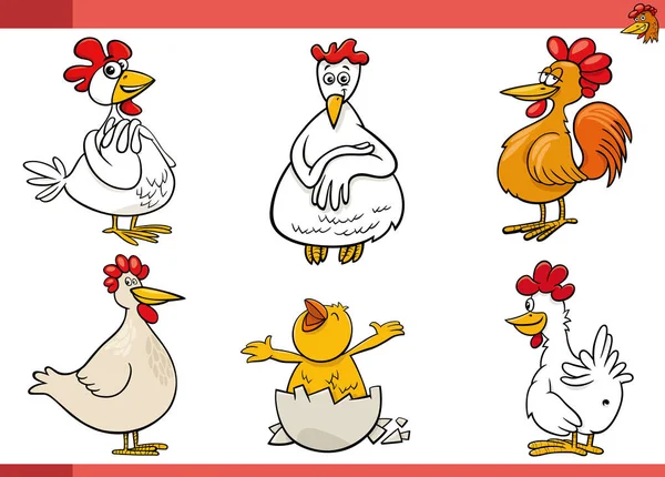 Cartoon Illustration Von Hühnern Vögel Nutztiere Zeichen Gesetzt — Stockvektor