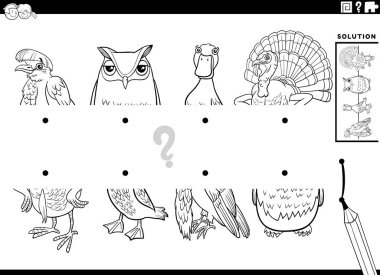 Eğitici oyunun siyah beyaz karikatür çizimi kuş hayvan karakterleri boyama sayfası ile resimlerin yarısının eşleştirilmesi