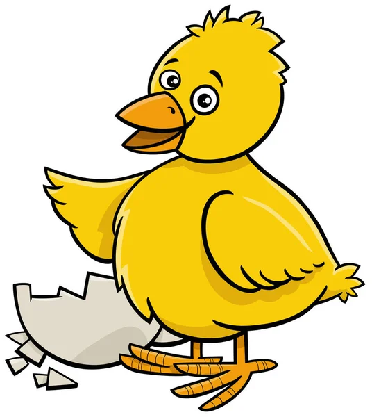 用鸡蛋孵出的有趣的小黄鸡的漫画插图 — 图库矢量图片