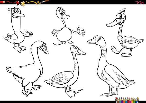 Černobílé Kreslené Ilustrace Husí Farmy Zvířecí Znaky Sada Zbarvení Stránky — Stockový vektor