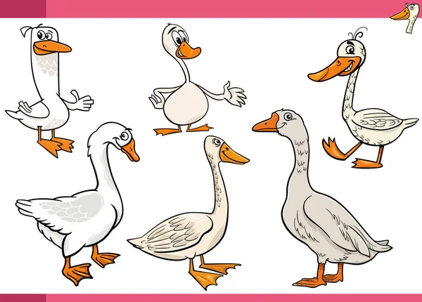 ガチョウの養殖鳥の漫画のイラスト動物のキャラクターセット — ストックベクタ