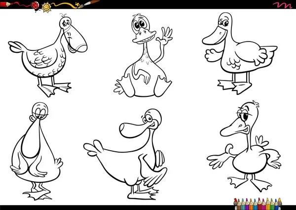 Desenhos Animados Preto Branco Ilustração Patos Fazenda Personagens Animais Definir —  Vetores de Stock