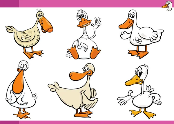 Desenhos Animados Ilustração Patos Fazenda Pássaros Personagens Conjunto — Vetor de Stock
