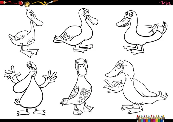 アヒルの養殖動物のキャラクターの黒と白の漫画のイラストが着色ページを設定 — ストックベクタ