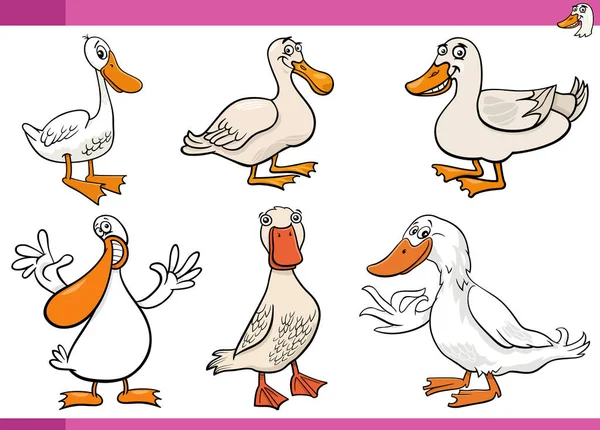Desenhos Animados Ilustração Patos Fazenda Pássaros Personagens Conjunto — Vetor de Stock