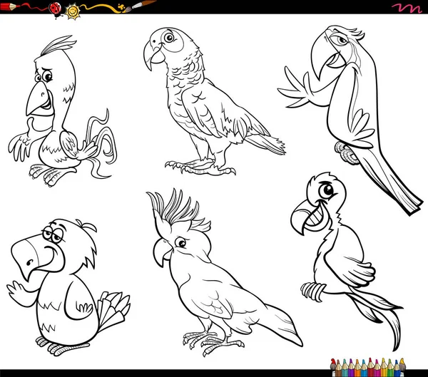 Schwarz Weiße Zeichentrick Illustration Von Papageien Vögel Tierische Charaktere Gesetzt — Stockvektor