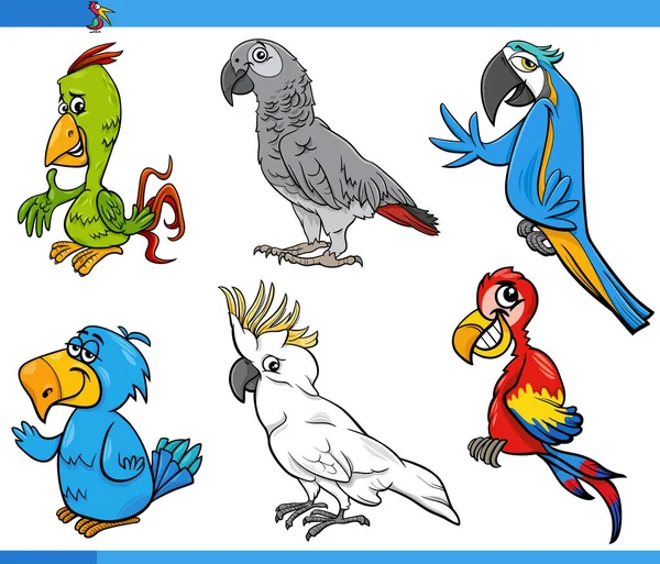Cartoon illustration of parrots birds animal characters set