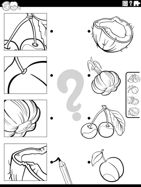 Ασπρόμαυρη Απεικόνιση Κινουμένων Σχεδίων Της Εκπαιδευτικής Εργασίας Που Ταιριάζουν Φρούτα — Διανυσματικό Αρχείο