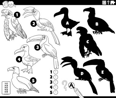 Kuşların hayvan karakterleri boyama sayfasının yer aldığı eğitici oyunun doğru gölgelerini bulmanın siyah-beyaz çizimi