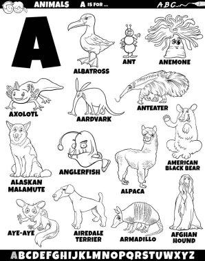 Hayvan karakterlerinin çizgi film çizimi A harfi boyama sayfası için ayarlandı