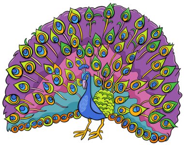 Tavus kuşu çizgi roman karakteri çizimi