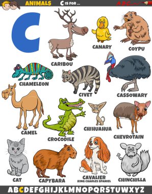 Cartoon illustration of animal characters set for letter C clipart