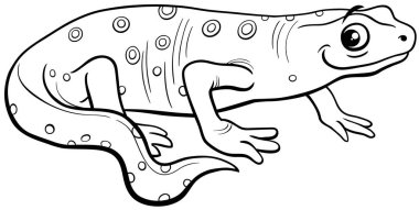 Semender amfibisinin çizgi film çizimi komik hayvan karakteri renklendirme sayfası
