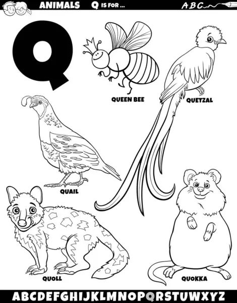 Q harfi boyama sayfası için hayvan karakterlerinin çizgi film çizimi