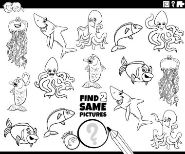 Deniz hayvanlarının renklendirme sayfasında aynı iki resmi bulmanın çizgi film çizimi