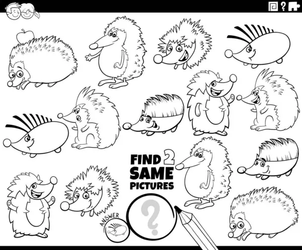 Cartoon Illustration Finding Two Same Pictures Educational Activity Hedgehogs Animal — Stock Vector