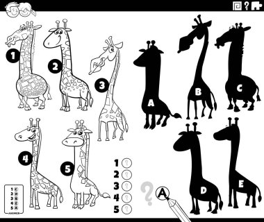 Zürafalar ve hayvan karakterleri boyama sayfası ile resimlerin doğru gölgelerini bulmanın çizgi film çizimi