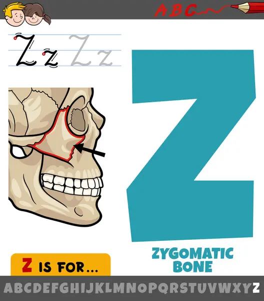 化验性漫画中的字母Z的教育图解 免版税图库插图