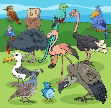 Cartoon illustration of funny birds animal comic characters group clipart