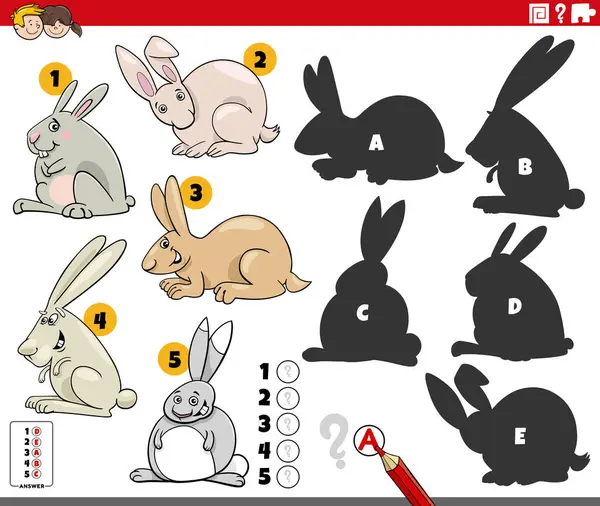 Мультфильм Иллюстрация Нахождения Правильных Теней Картинам Образовательная Игра Кроликами Животных Векторная Графика