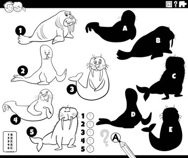 Foklar ve morslarla birlikte doğru gölgeleri bulmanın çizgi film çizimi hayvan karakterleri boyama sayfası
