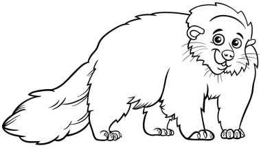 Komik ayı ya da binturong vahşi hayvan karakter renklendirme sayfasının çizgi film çizimi