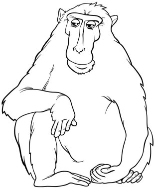 Komik maymun primat hayvan karakter renklendirme sayfasının çizgi film çizimi