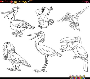 Çizgi film illüstrasyonu çizgi roman kuşları hayvan türleri karakter koleksiyonu renk sayfası