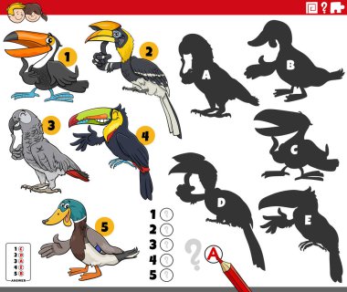Kuşların hayvan karakterleriyle ilgili eğitici bulmacanın doğru gölgelerini bulmanın çizgi film çizimi