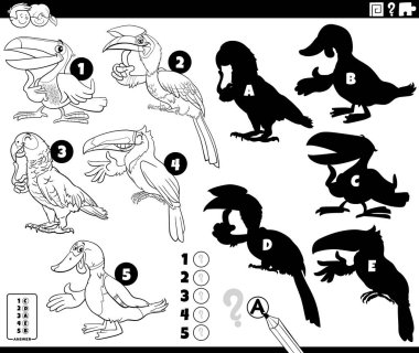 Kuşların hayvan karakterleri boyama sayfası ile ilgili eğitici bulmacanın doğru gölgelerini bulmanın çizgi film çizimi