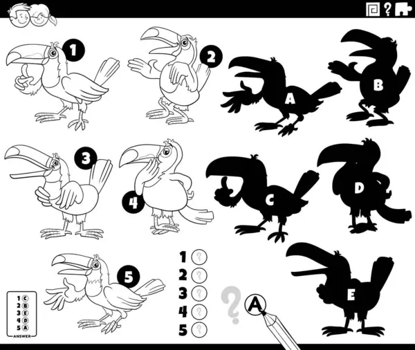 Tukanlarla ilgili eğitici bulmacanın doğru gölgelerini bulmanın çizgi film çizimi hayvan karakterleri boyama sayfası