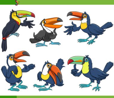 Tukan kuşlarının çizgi film çizimi vahşi hayvan karakterleri koleksiyonu