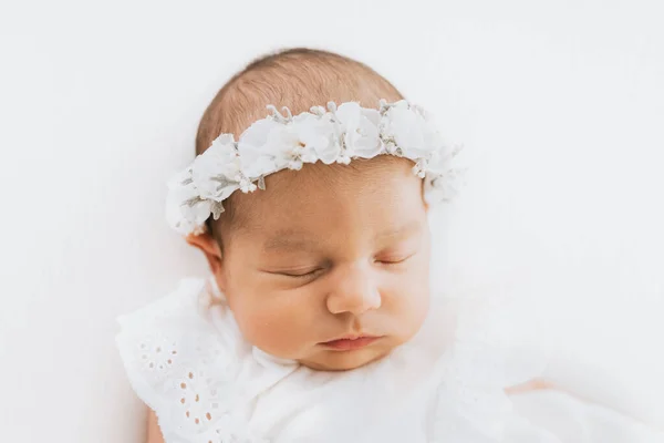 Newborn Baby Girl Portrait Photographed Studio Stock Image