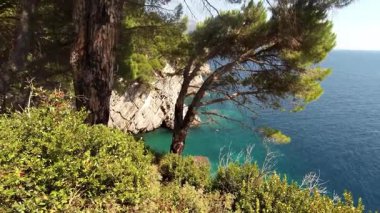 Karadağ 'ın Petrovac kenti yakınlarındaki çarpıcı Adriyatik Denizi' nin engebeli bir uçurumdan panoramik manzarası. Çam ağaçları sonsuz maviyi çerçeveler.