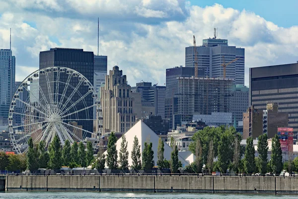 Montreal Şehir Manzarası Yaz Boyunca Gündüz Vakti Nehir Kenarından Görüldüğü — Stok fotoğraf