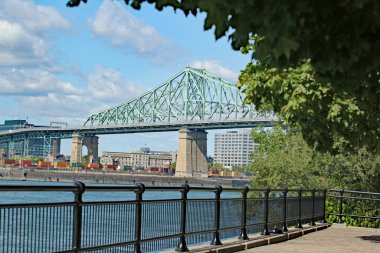 Montreal şehir manzarası yaz boyunca gündüz vakti nehir kenarından görüldüğü gibi.