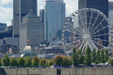 Montreal şehir manzarası yaz boyunca gündüz vakti nehir kenarından görüldüğü gibi.