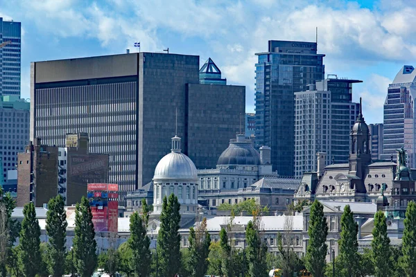 Montreal Şehir Manzarası Yaz Boyunca Gündüz Vakti Nehir Kenarından Görüldüğü — Stok fotoğraf
