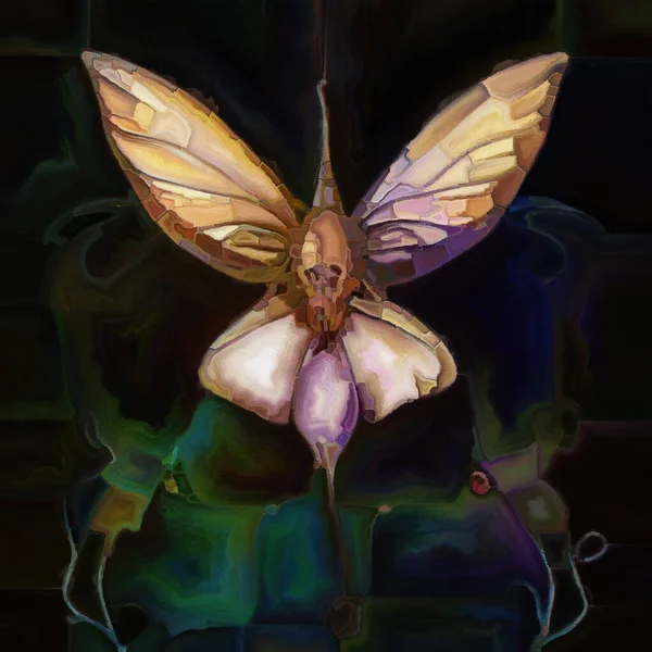 Butterfly Dreams ภาพนามธรรมทางศ ลปะของร างธรรมชาต เหน อจร งเน อเย อและส ภาพสต็อก