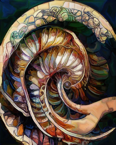 Nautilus Dream series. Interplay of spiral structures, shell patterns, colors and abstract elements on the subject of sea life, nature, creativity, art and design.