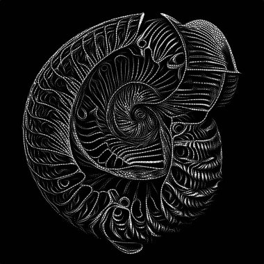 Point Symbology series. Composition of dotted lines and patterns on the subject of poetry, light perception, reserved art and austere design.