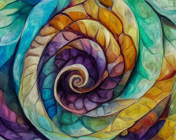 Nautilus Dream Series Interplay Spiral Structures Shell Patterns Colors Abstract —  Fotos de Stock