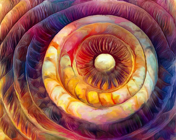 Nautilus Dream Series Interplay Spiral Structures Shell Patterns Colors Abstract — Stock Photo, Image