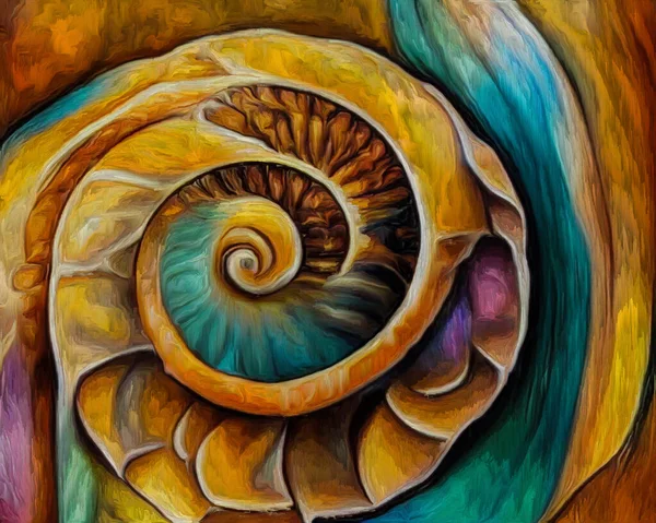 Dream Seashell Series Interplay Spiral Structures Shell Patterns Colors Abstract —  Fotos de Stock